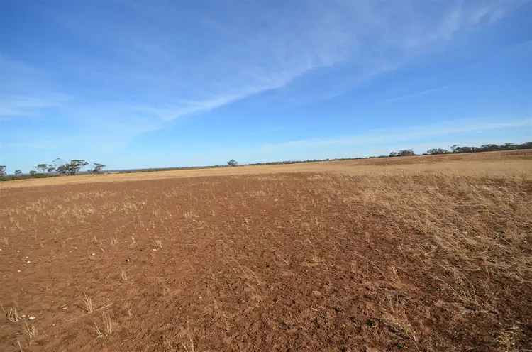 Sixth view of Homely rural property listing, Sections 14,15& 16 Towitta Road, Towitta SA 5353