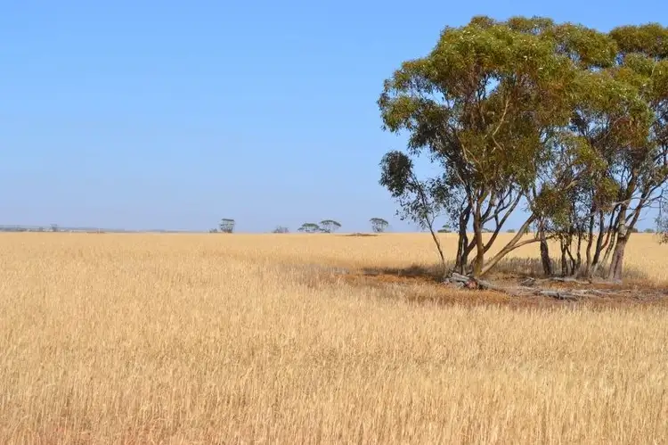 . 'Tanners', Kununoppin WA 6489