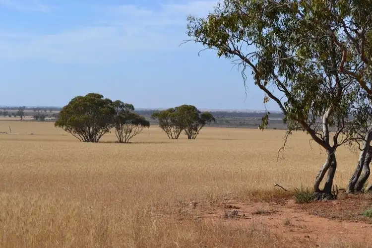 Fourth view of Homely rural property listing, . 'Tanners', Kununoppin WA 6489