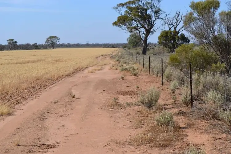 Fifth view of Homely rural property listing, . 'Tanners', Kununoppin WA 6489