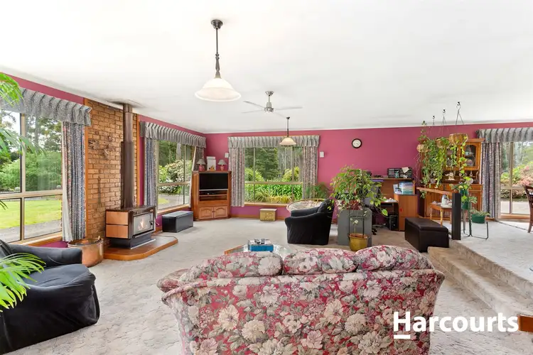 Second view of Homely house listing, 135 Williams Road, Scottsdale TAS 7260