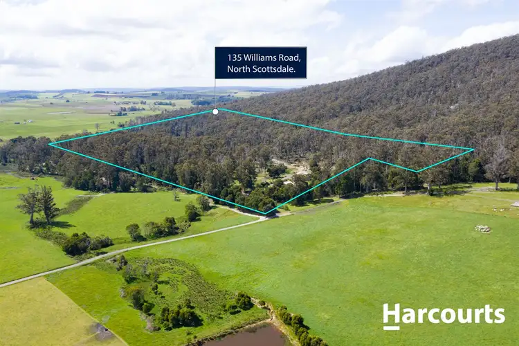 Third view of Homely house listing, 135 Williams Road, Scottsdale TAS 7260