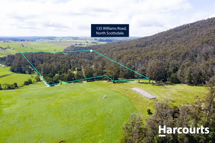 Fourth view of Homely house listing, 135 Williams Road, Scottsdale TAS 7260