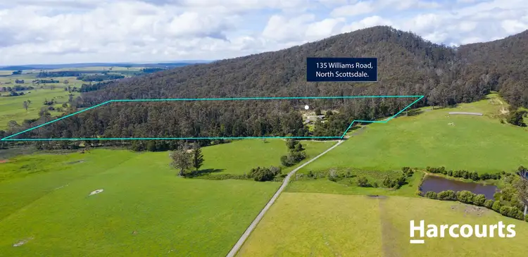 Fifth view of Homely house listing, 135 Williams Road, Scottsdale TAS 7260