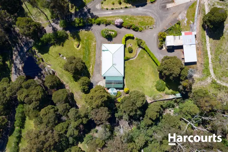 Sixth view of Homely house listing, 135 Williams Road, Scottsdale TAS 7260