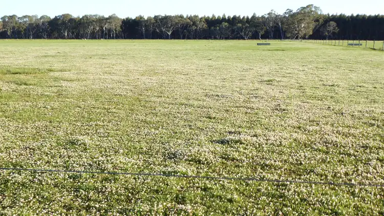 Second view of Homely rural property listing, Tilberoo/146 Fullerton Road, Poolaijelo VIC 3312