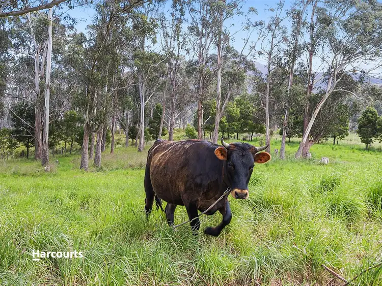 Fifth view of Homely house listing, 112 Lonnavale Road, Judbury TAS 7109