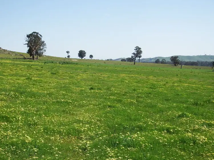 Main view of Homely rural property listing, 547 Longwood-Mansfield Road, Creightons Creek VIC 3666