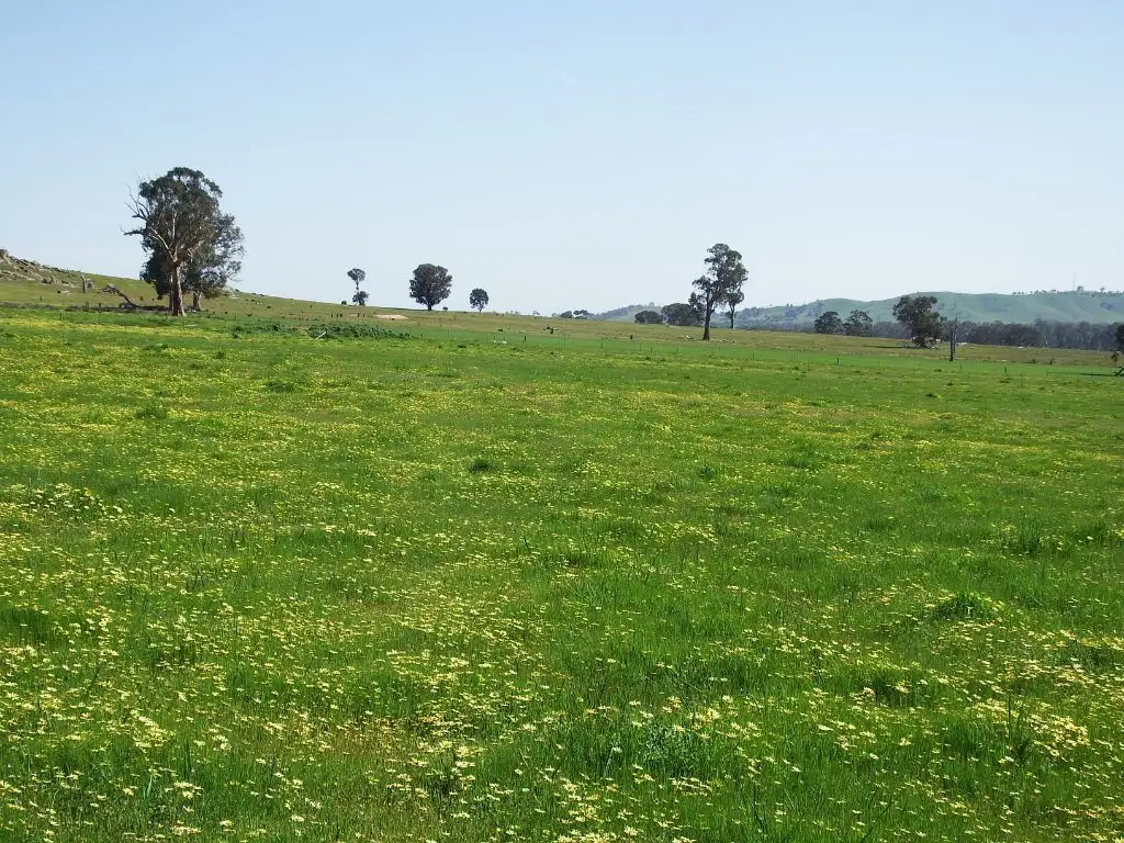 Main view of Homely rural property listing, 547 Longwood-Mansfield Road, Creightons Creek VIC 3666