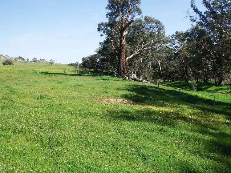 Third view of Homely rural property listing, 547 Longwood-Mansfield Road, Creightons Creek VIC 3666