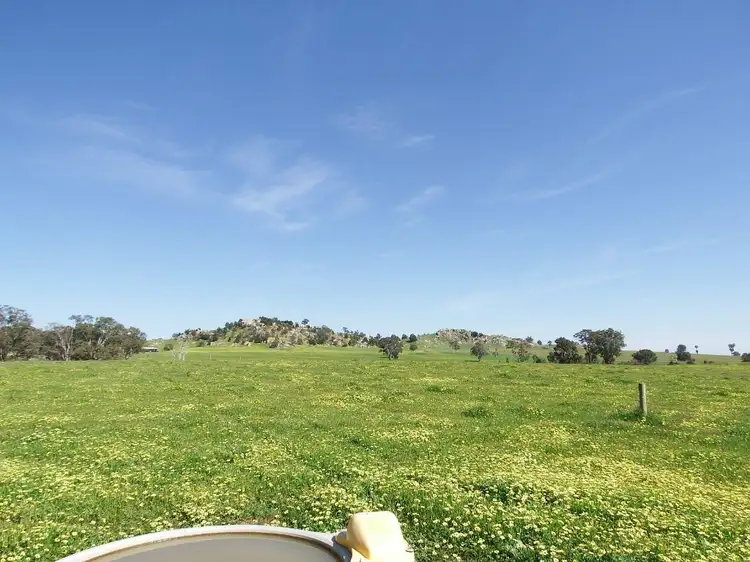 Fifth view of Homely rural property listing, 547 Longwood-Mansfield Road, Creightons Creek VIC 3666