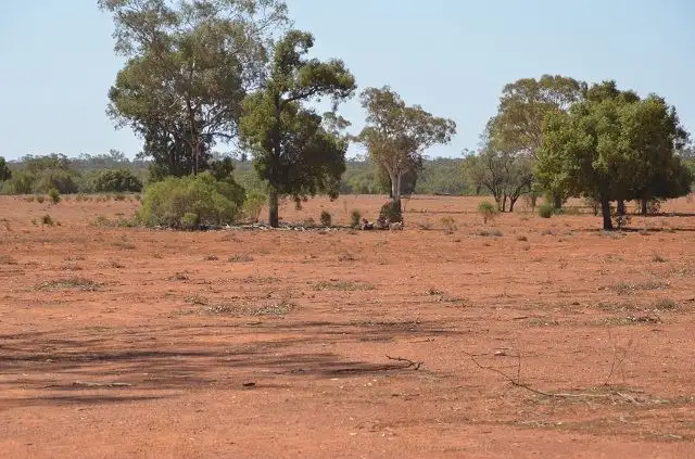 Fifth view of Homely rural property listing, CLARKES/560 laroo road, Hermidale NSW 2831