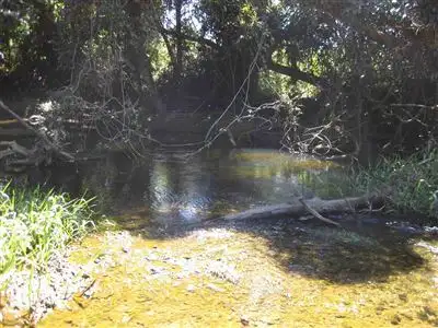 Seventh view of Homely rural property listing, Address available on request