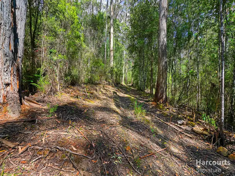 Third view of Homely land listing, 6744 Arthur Highway, Port Arthur TAS 7182