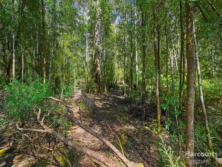 Fifth view of Homely land listing, 6744 Arthur Highway, Port Arthur TAS 7182