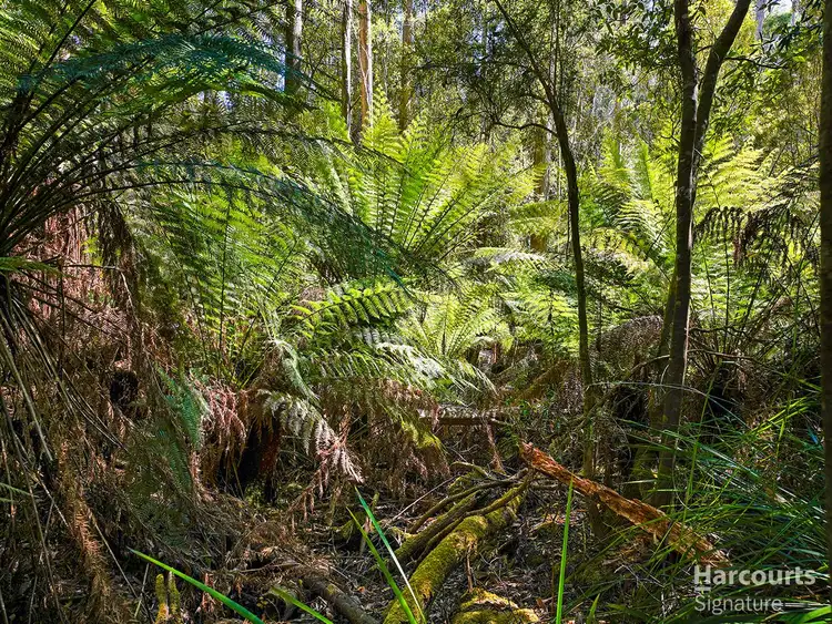 Sixth view of Homely land listing, 6744 Arthur Highway, Port Arthur TAS 7182