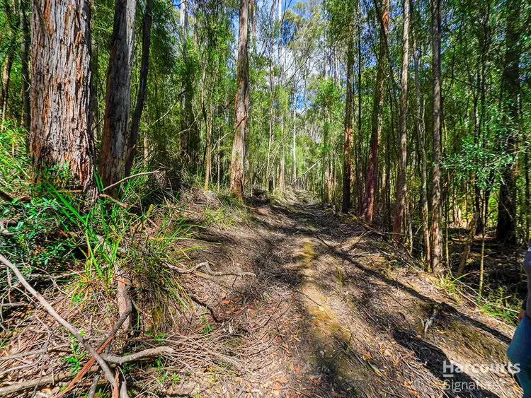 Seventh view of Homely land listing, 6744 Arthur Highway, Port Arthur TAS 7182