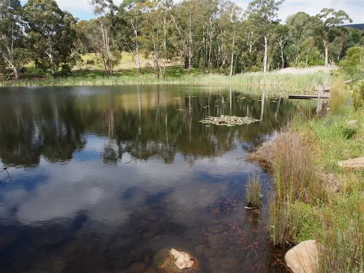 Fourth view of Homely rural property listing, Lot 1 Jones Rd, Tatong VIC 3673