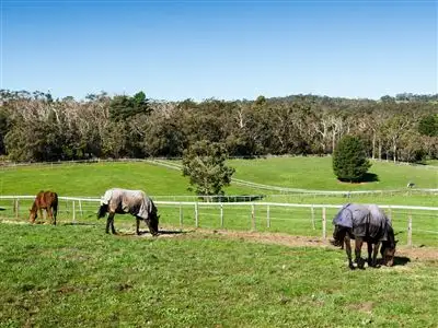 Fifth view of Homely house listing, 81 Snelling Road, Hahndorf SA
