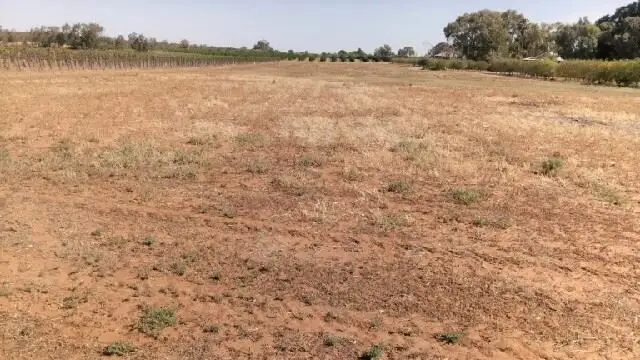 Fifth view of Homely rural property listing, 472 Kingston Road, Moorook SA 5332