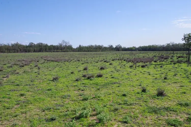 Fourth view of Homely rural property listing, 279 Cains Crossing Road, Narrabri NSW 2390