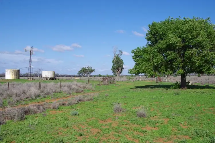 Fifth view of Homely rural property listing, 279 Cains Crossing Road, Narrabri NSW 2390