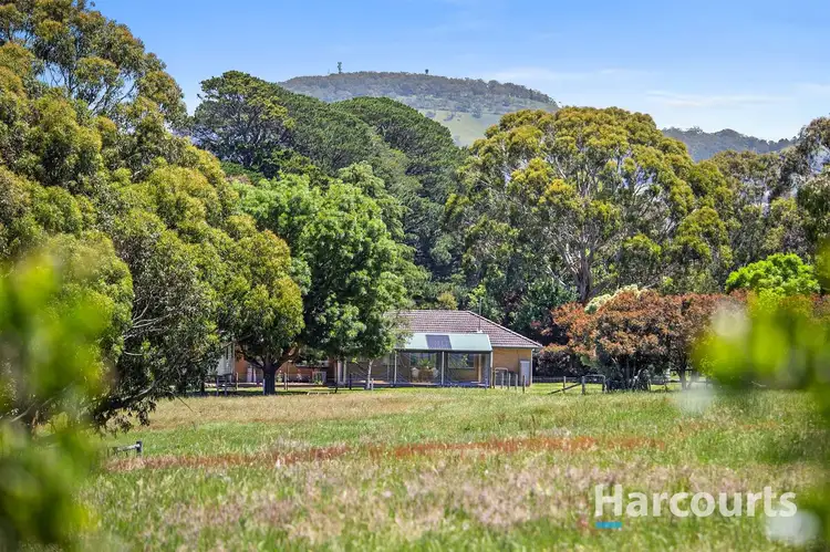 Main view of Homely house listing, 81 Yendon-Egerton Road, Yendon VIC 3352