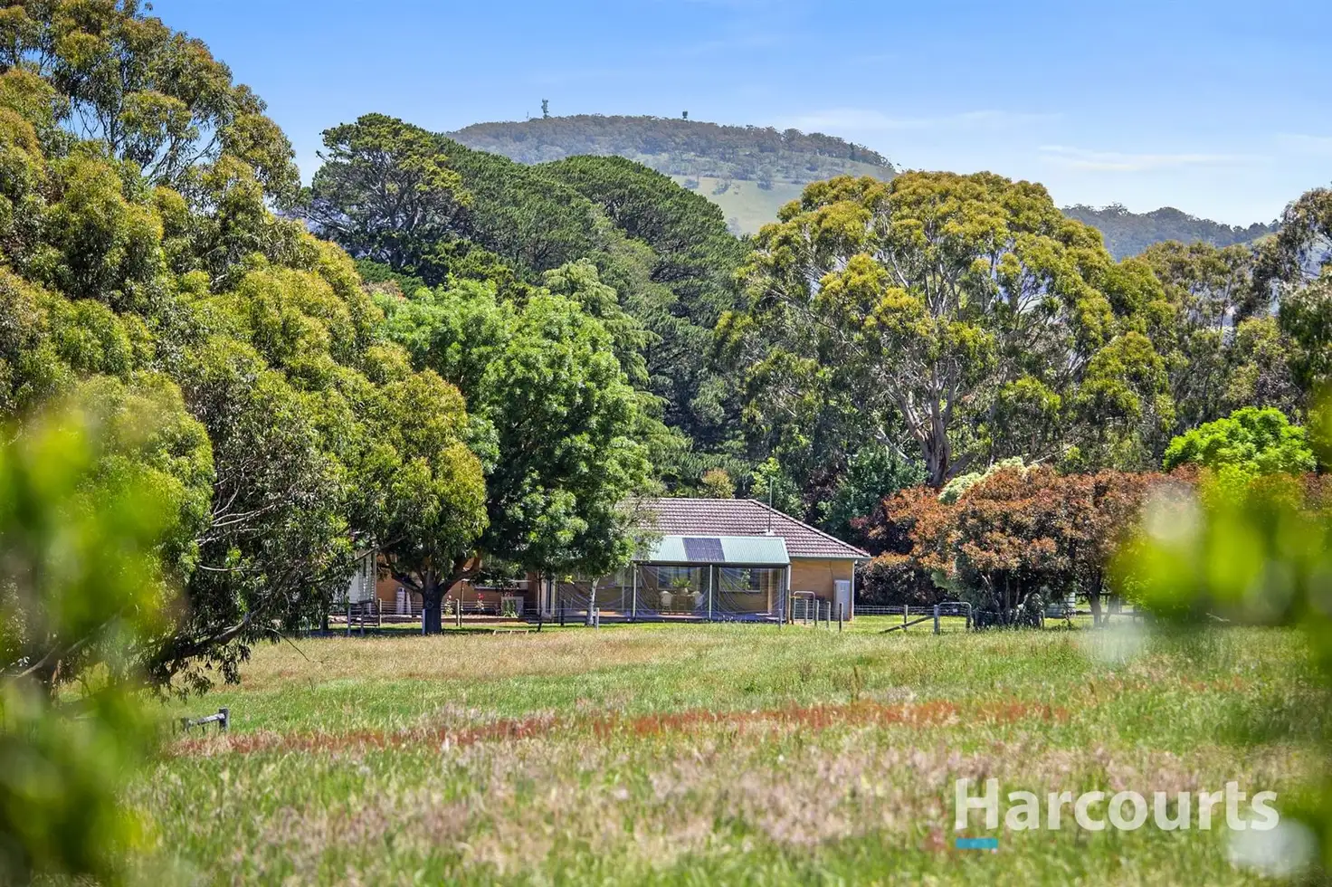 Main view of Homely house listing, 81 Yendon-Egerton Road, Yendon VIC 3352