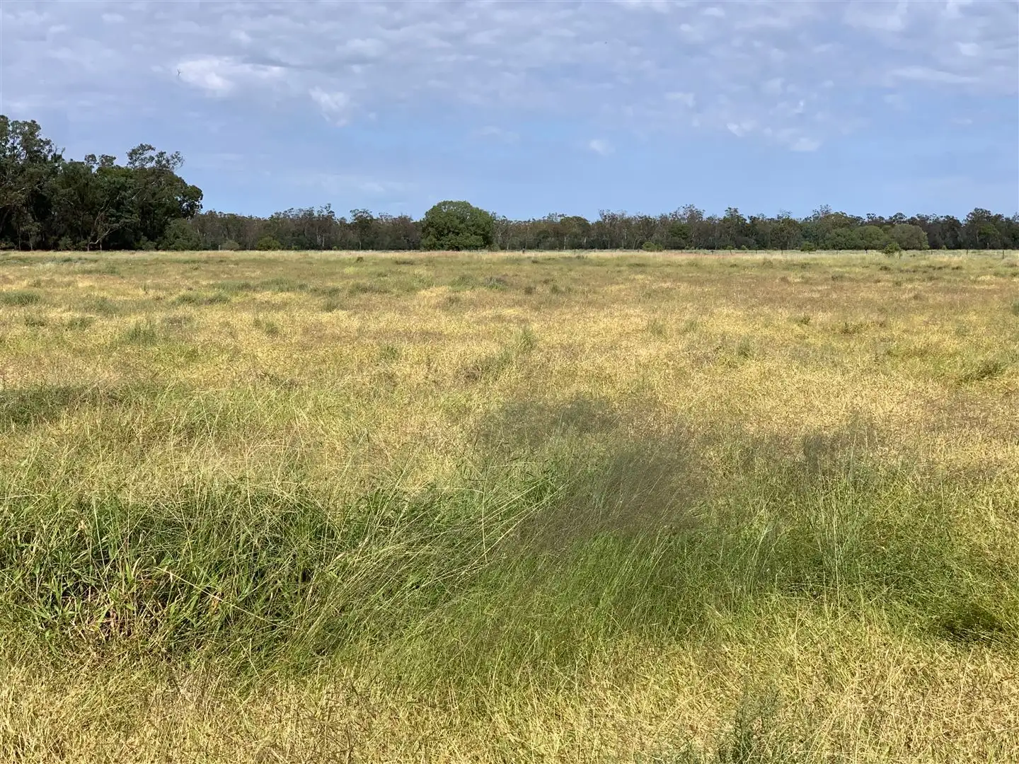 Main view of Homely rural property listing, 132 Quegobla, Narrabri NSW 2390
