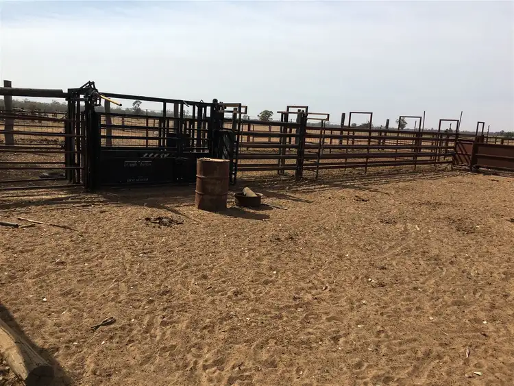 Sixth view of Homely rural property listing, 132 Quegobla, Narrabri NSW 2390
