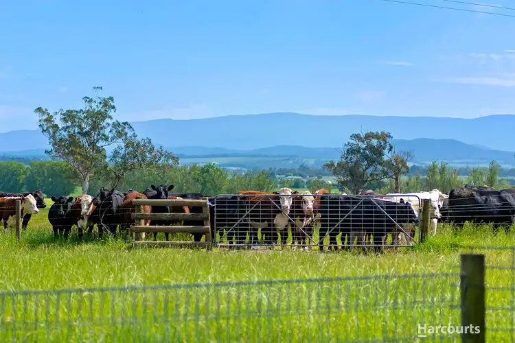 Third view of Homely rural property listing, 590 Waterloo Road, Trafalgar East VIC 3824