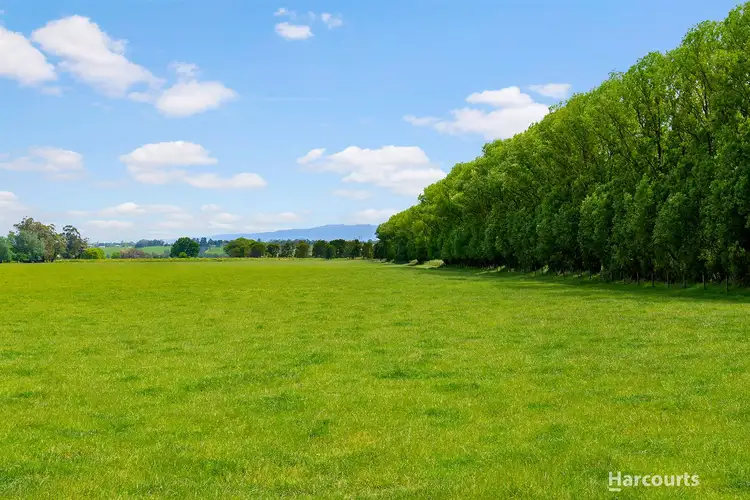 Fourth view of Homely rural property listing, 590 Waterloo Road, Trafalgar East VIC 3824