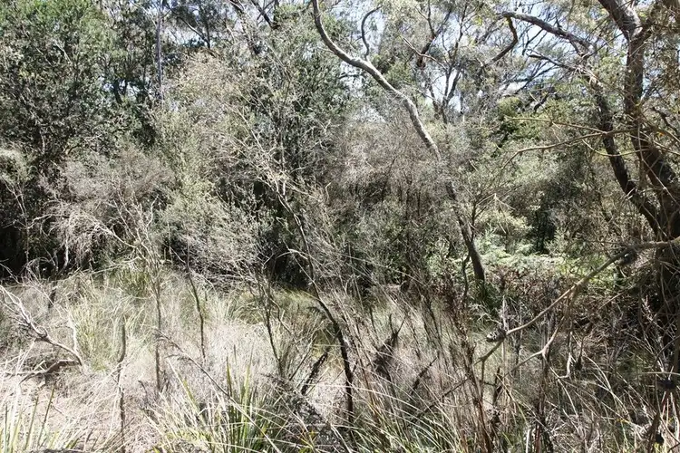 Second view of Homely land listing, PID 7384430 North Ansons Bay Road, Gladstone TAS 7264