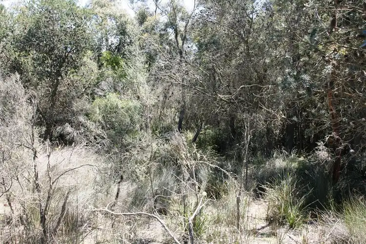 Fourth view of Homely land listing, PID 7384430 North Ansons Bay Road, Gladstone TAS 7264