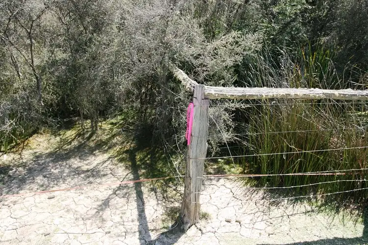 Seventh view of Homely land listing, PID 7384430 North Ansons Bay Road, Gladstone TAS 7264