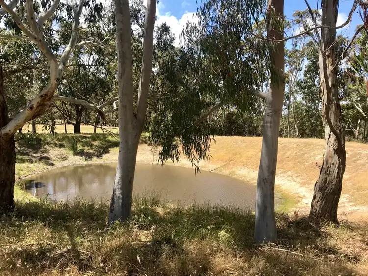 Seventh view of Homely rural property listing, 284 Bald Hills Road, Inman Valley SA 5211