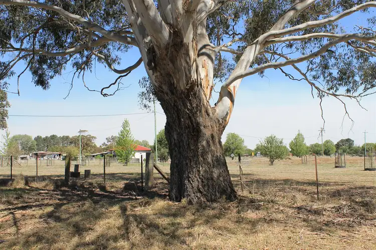 Second view of Homely land listing, 3-5 Grafton Street, Red Range NSW 2370