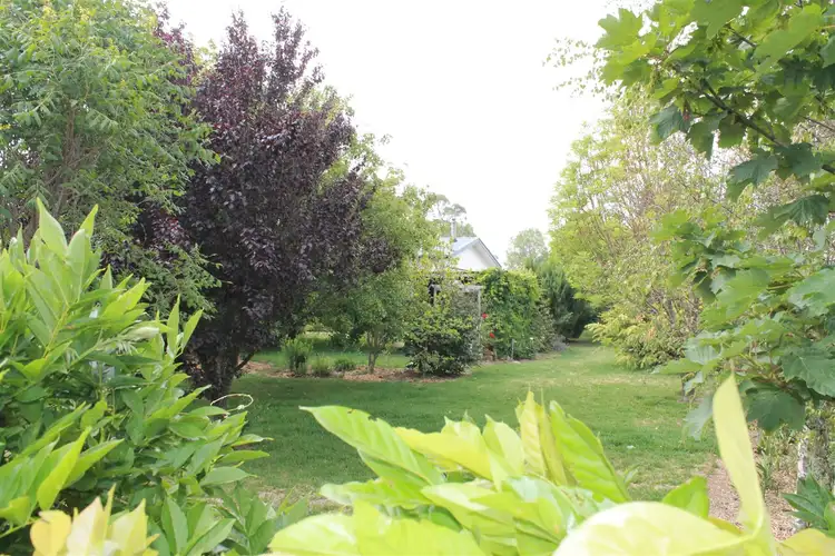 Third view of Homely house listing, 11 Victoria Street, Red Range NSW 2370