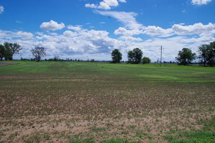 Seventh view of Homely rural property listing, 1622 Harparary Road, Boggabri NSW 2382