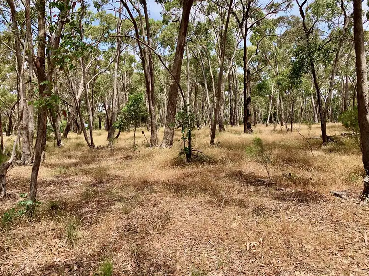 Lot 8, 270 Ascot Road, Creswick VIC 3363