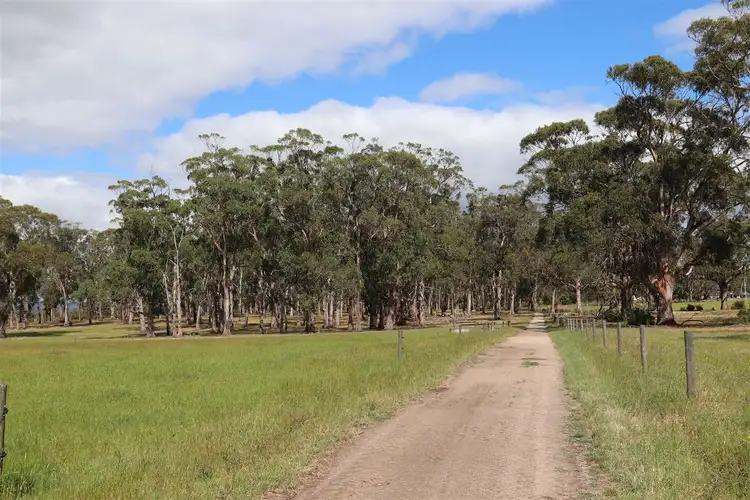 Third view of Homely rural property listing, Lot 1 / 315 Tarra Valley Road, Devon North VIC 3971