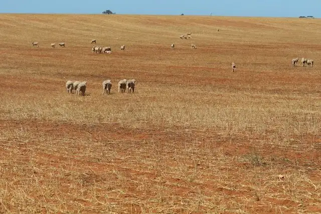 Sixth view of Homely rural property listing, 5998 Carwarp Road, Werrimull VIC 3496