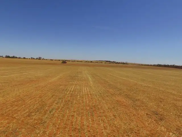 Seventh view of Homely rural property listing, 5998 Carwarp Road, Werrimull VIC 3496