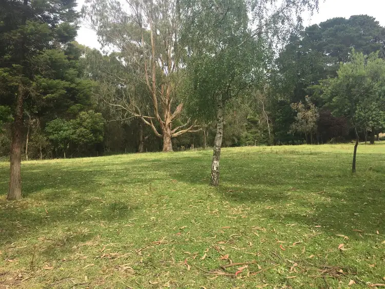 Sixth view of Homely rural property listing, 171 Timboon Port Campbell Rd, Timboon VIC 3268