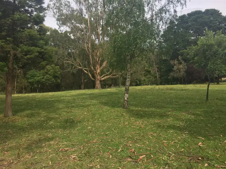 Seventh view of Homely rural property listing, 171 Timboon Port Campbell Rd, Timboon VIC 3268