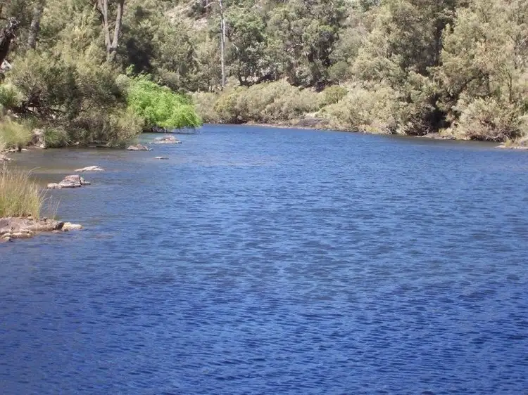 Fifth view of Homely rural property listing, Llandillo/709 Pattersons Road, Emmaville NSW 2371