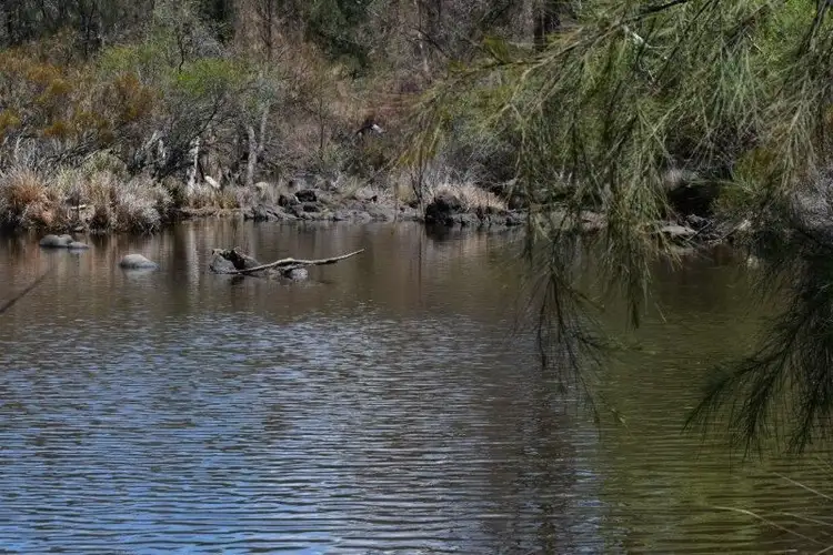 Sixth view of Homely rural property listing, Llandillo/709 Pattersons Road, Emmaville NSW 2371