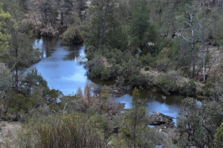 Seventh view of Homely rural property listing, Llandillo/709 Pattersons Road, Emmaville NSW 2371