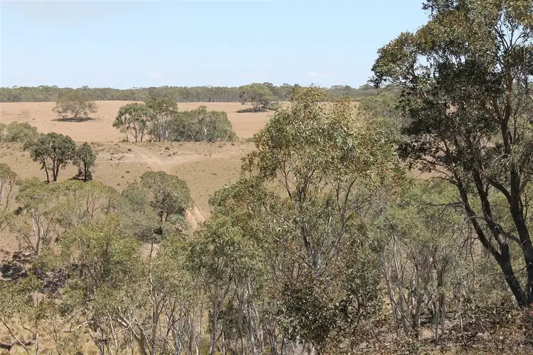 Third view of Homely rural property listing, 145 Killarney Road, Braidwood NSW 2622