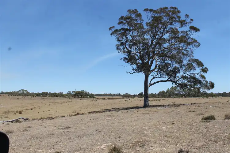 Fourth view of Homely rural property listing, 145 Killarney Road, Braidwood NSW 2622